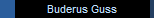 Buderus Guss