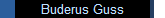 Buderus Guss